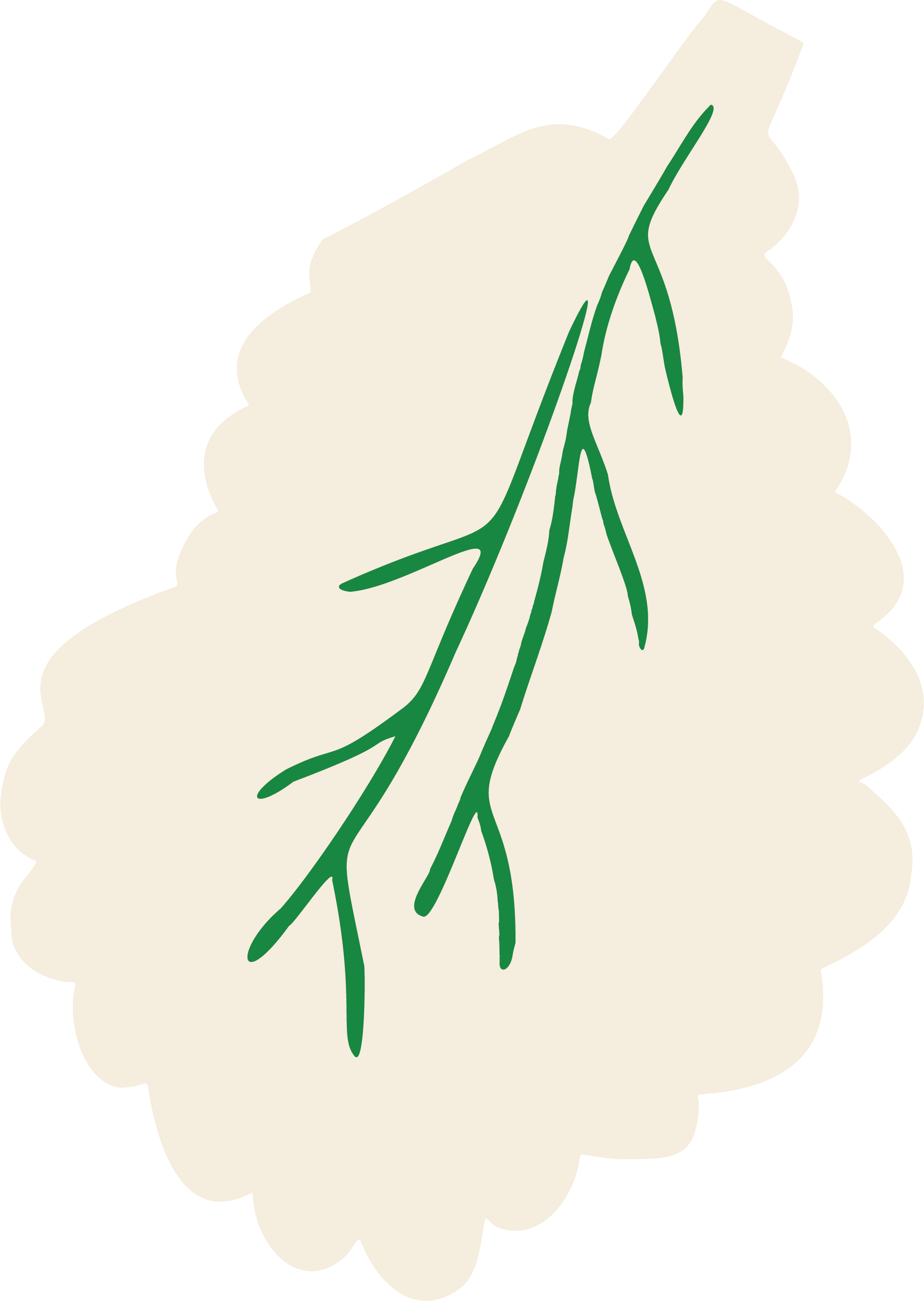 laurel